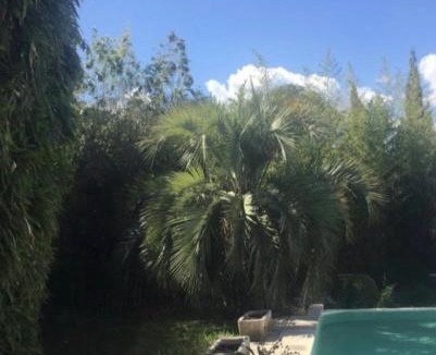 Teyran House | Chez RayMonde