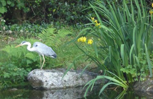 Plescop Bed & Breakfast | Chez Sophie