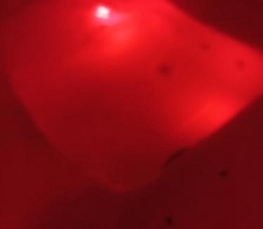 Tulette House | Chez Titi