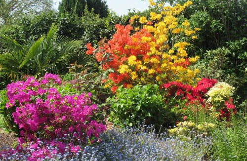 Champeaux Bed & Breakfast | Chez Vic