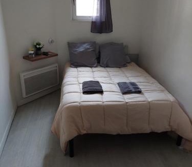 Dieppe House | Chez Vincent, Chambre double avec salle de bain, wc et accès privés, très bon emplacement dans Dieppe, au calme, avec Parking Gratuit et Clôturé, terrasse et grand jardin, Animaux admis, pas de cuisine mais micro ondes et bouilloire fournis