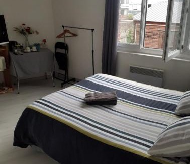 Dieppe House | Chez Vincent, Chambre double avec salle de bain, wc et accès privés, très bon emplacement dans Dieppe, au calme, avec Parking Gratuit et Clôturé, terrasse et grand jardin, Animaux admis, pas de cuisine mais micro ondes et bouilloire fournis