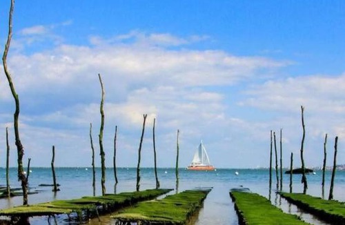 Cerons House | Chez Yoyo