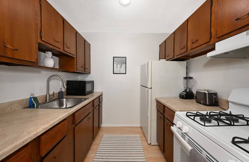 Mentor Apartment | Chic 1Bd Excellent for Professionals