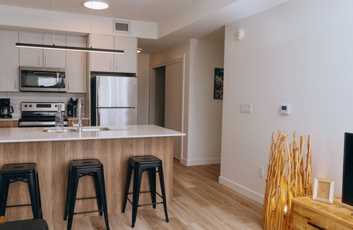 Winnipeg Apartment | Chic 1BR Heaven Near Osborne Village and The Forks