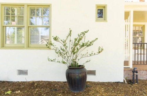 Land Park House | Chic Boho Bungalow in Land Park!