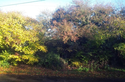 Flamstead Apartment | Chic country apartment stunning views, near villages & easy reach of London