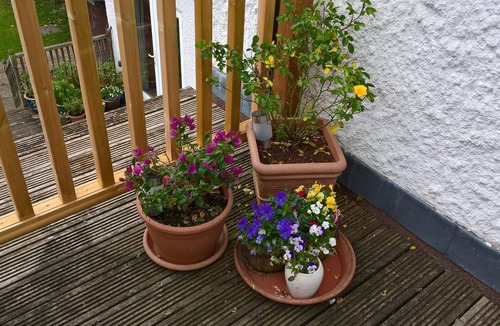 Flamstead Apartment | Chic country apartment stunning views, near villages & easy reach of London