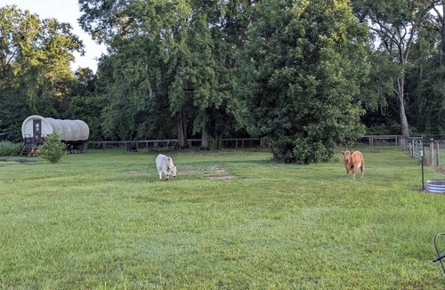 Putnam Hall Cottage | Chic Farm Glamping Exclusive Perks