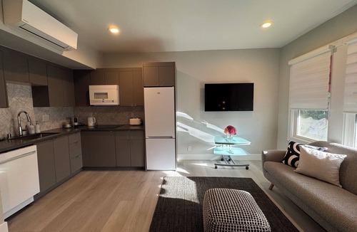 University South Apartment | Chic one bedroom apartment in downtown Palo Alto with AC