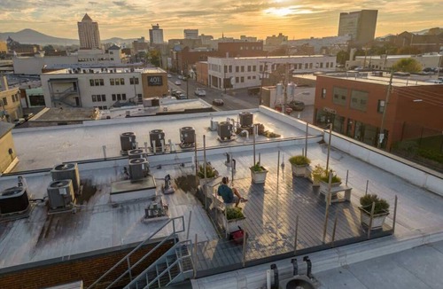 Roanoke Apartment | Chic walkable apt with rooftop views