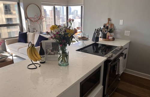 Near North Side Condo | Chicago Cityview Chic - Gold Coast/River North