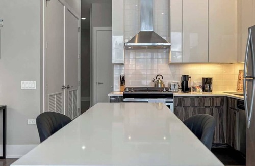 River North Apartment | Chicago-Themed 1BR in a Central Spot near Downtown