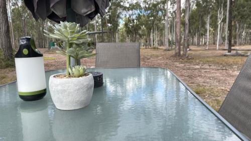 South Isis Other | Childers Nature Camp