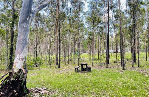 South Isis Other | Childers Nature Camp
