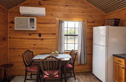 Azle Cabin | Cholla Cactus Cabin in Delightful Azle