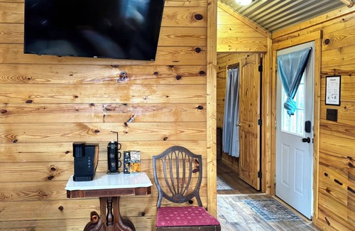 Azle Cabin | Cholla Cactus Cabin in Delightful Azle