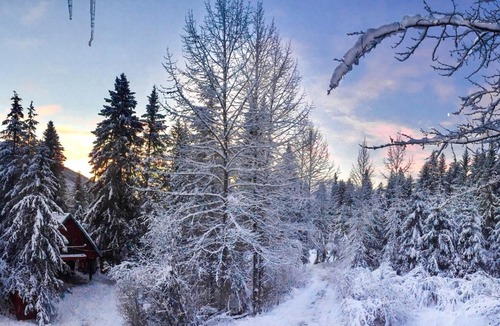 Alyeska Hotel | Christina Cabin