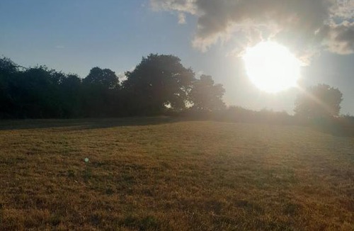 Belabre Other | Chtipi Camp