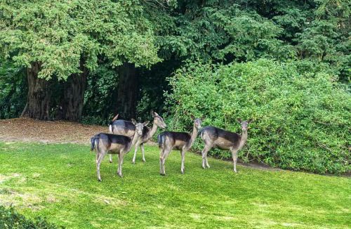 Matlock House | Church Cottage