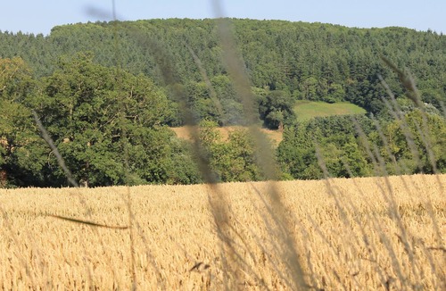 Hereford Cottage | Cider press in Brinsop