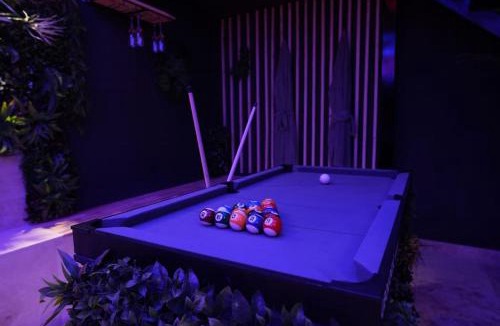 Roanne Apartment | Ciné jungle duplex balnéo