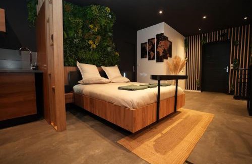 Roanne Apartment | Ciné jungle duplex balnéo