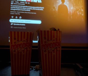 Lunel Apartment | Ciné Room Home Cinema Netflix Experience