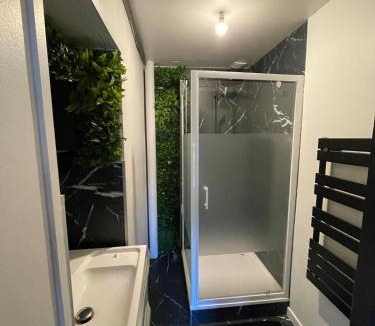 Charnay-les-Macon Apartment | Cinema et Billiard