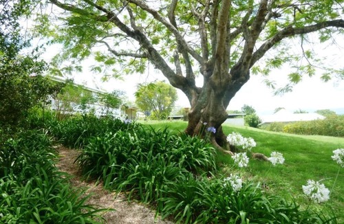 Eastern Heights Cottage | Cintra Haven