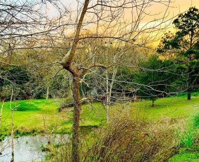 Chappell Hill House | Circa 1900 - Historic - Romantic - Private - Pond - Fenced Yard - The Cottage at Chappell Hill