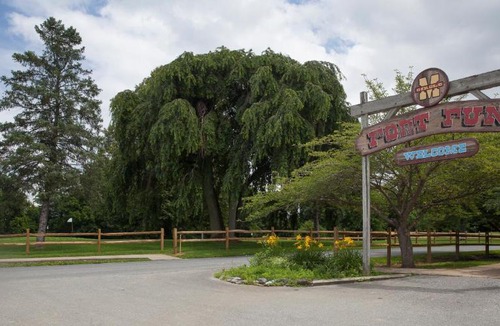 Bausman Resort | Circle M Camping Resort Loft Park Model 15