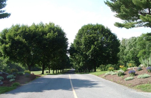 Bausman Other | Circle M Camping Resort 24 ft. Yurt 4