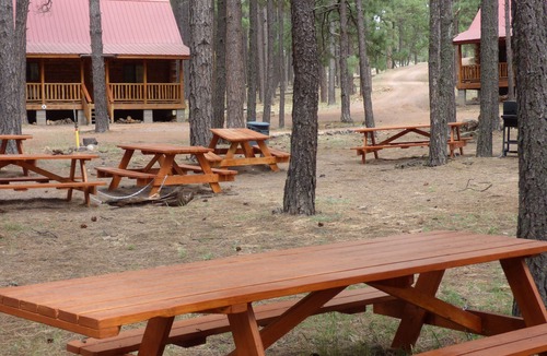 Alpine Cabin | Circle Pine Ranch-"The Real Log Cabin Experience"
