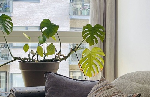 Amager Apartment | City Apartment in Copenhagen with 1 bedrooms sleeps 2