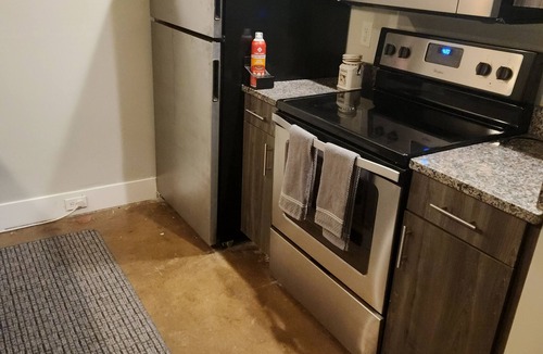 Jackson Ward Condo | City Arts District in Downtown VCU MCV
