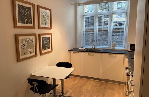 Copenhagen City Centre Condo | City Center Apartment 740