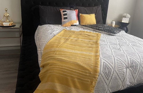 Spring Branch West Apartment | City Centre | Memorial City Cozy Minimal Chic Space ! — 15 minutes from Downtown
