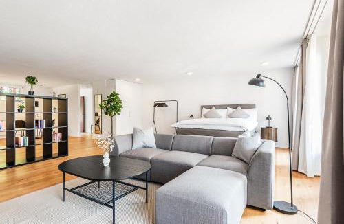 Schaffhausen Apartment | CITY-LOFT 2 !Gratis parken, Free parking!