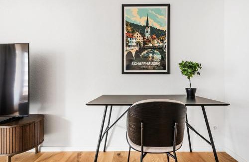 Schaffhausen Apartment | CITY-LOFT 2 !Gratis parken, Free parking!