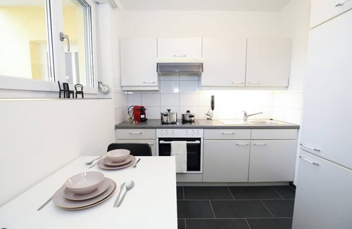 Alt-Wiedikon Apartment | City & Nature Park Views near Google & Paradeplatz
