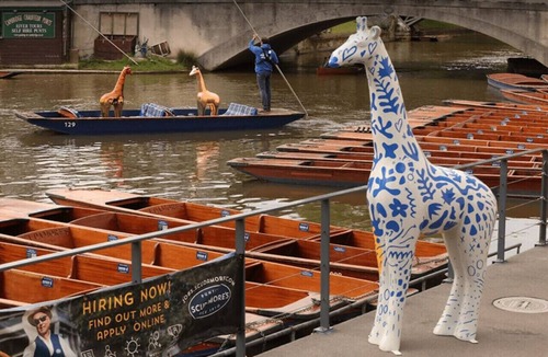 Mill Road Apartment | City studio best location for exploring Cambridge