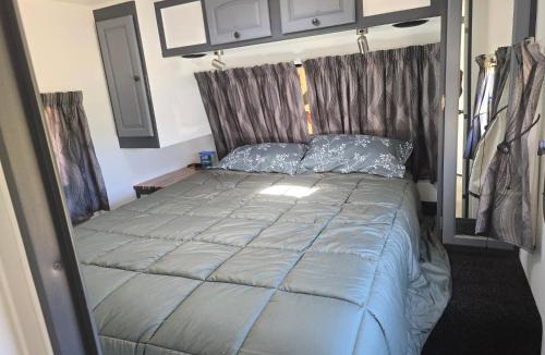 Whanganui Other | Clamping Caravan