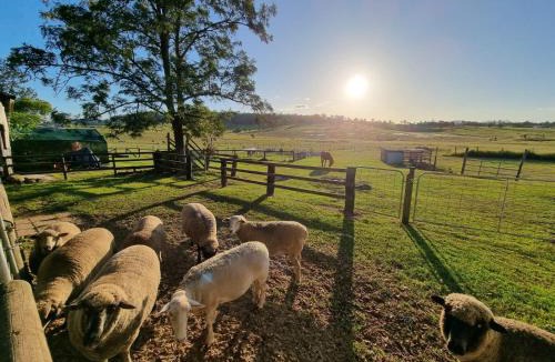 Boyland House | Clandulla Cottages & Farmstay