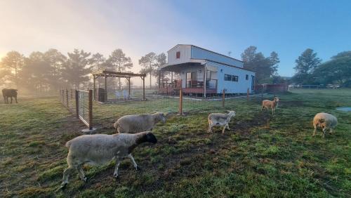Boyland House | Clandulla Cottages & Farmstay