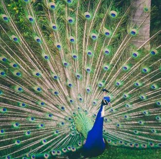 Boyland House | Clandulla Cottages & Farmstay