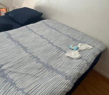 Montereau-Fault-Yonne House | Clara