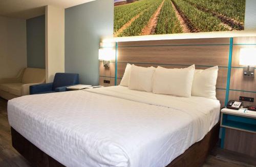 Vidalia Hotel | Clarion Pointe Vidalia - Lyons West