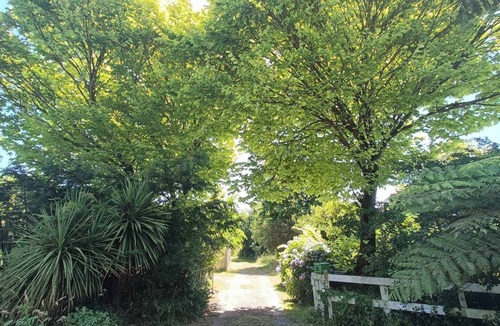Otaki House | Classic 1960s home amongst native trees