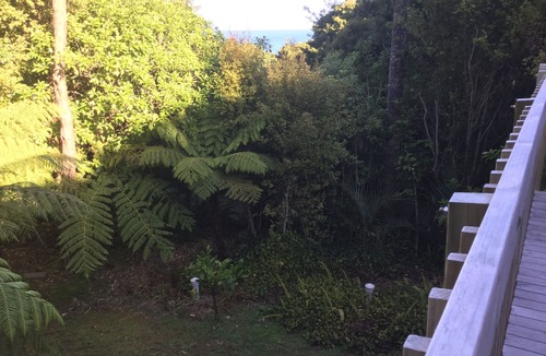 Leigh House | Classic Kiwiana bach